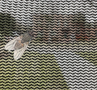 noseeum mesh noseeum mesh
