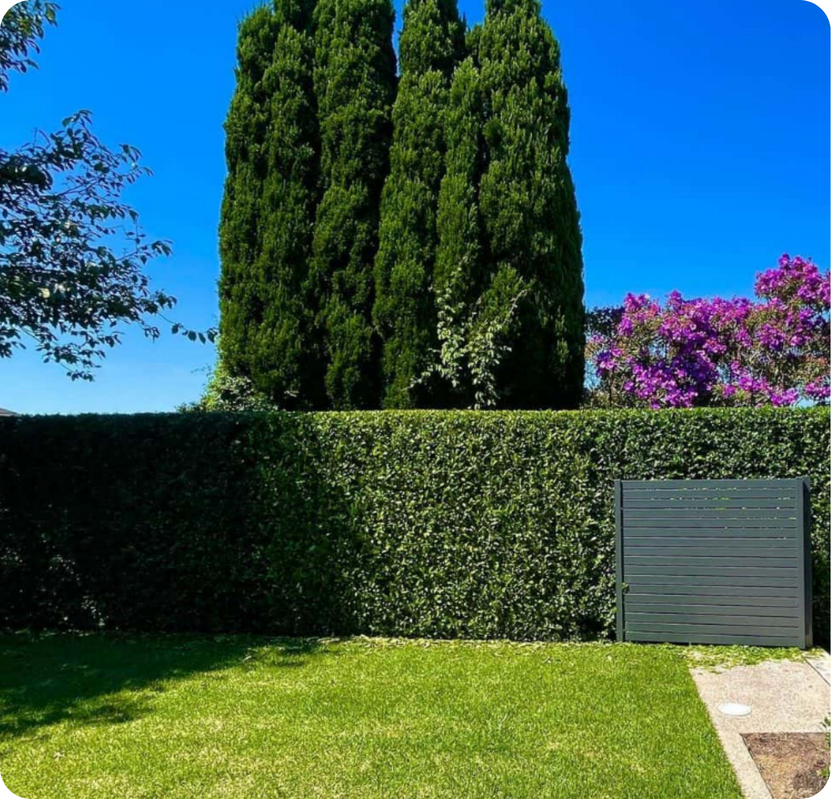 10 Game-Changing Patio Windbreak Ideas That "Won't" Blow You Away
